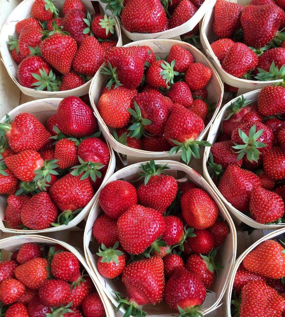 Billede af Krogsholm Frugt